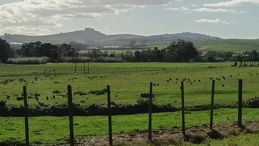 5 Bedroom Property for Sale in Stellenbosch Farms Western Cape